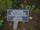 image of grave number 828476